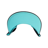 BLACK-BLACK BILL- LT BLUE UNDER BILL-WHITE OUTLINE LTBLUE LOGO