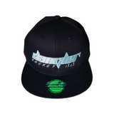 BLACK-BLACK BILL- LT BLUE UNDER BILL-WHITE OUTLINE LTBLUE LOGO
